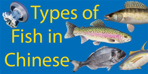 what kinds of fish are in china
